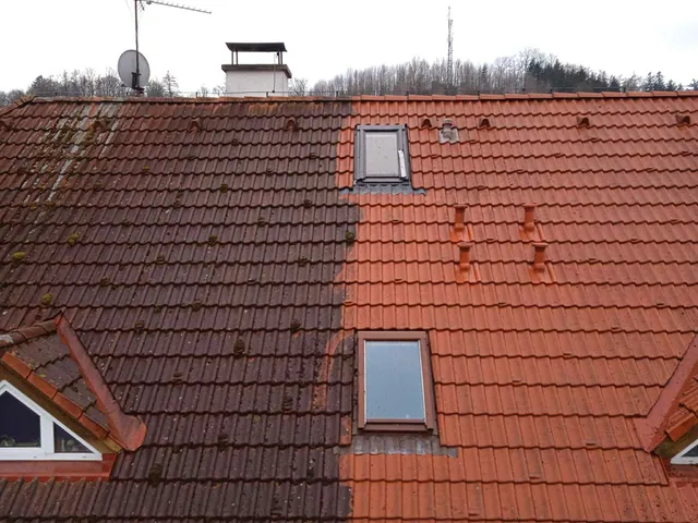A real HOLUB job: roof, left before cleaning, right after