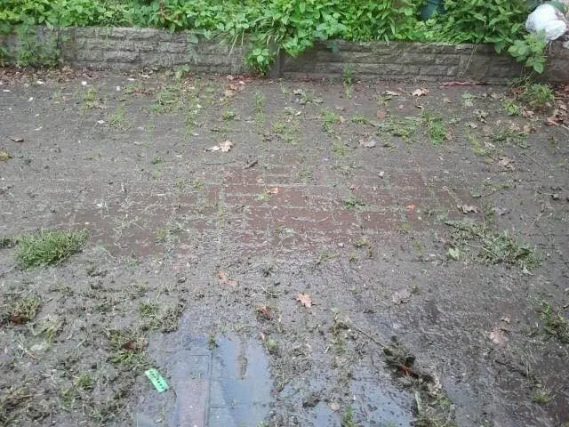 Příjezdová cesta vily – před
