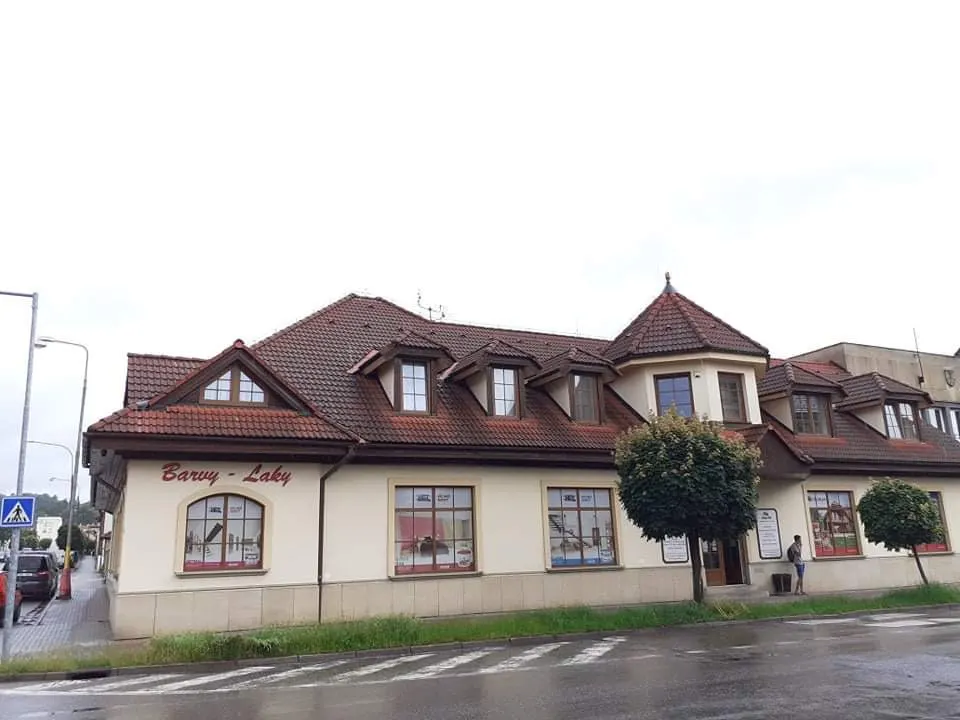Střecha domu s vikýři – před