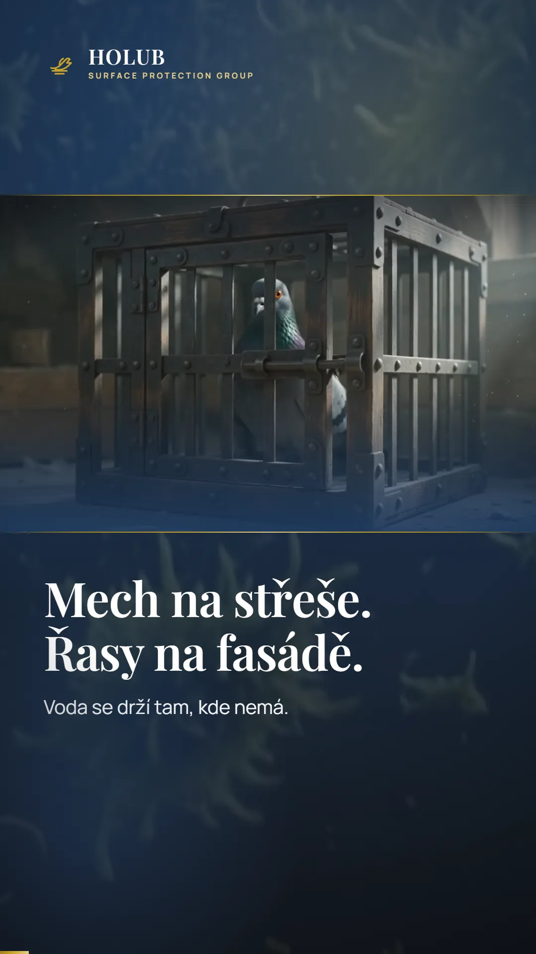 Náhled reklamního spotu HOLUB
